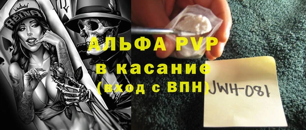крисы Баксан
